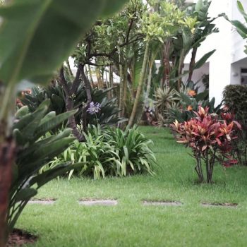 jardines-hotel-en-tenerife